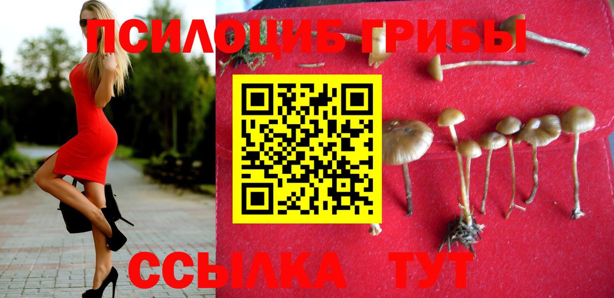 Владимир  Псилоцибиновые грибы Magic Shrooms  Вход с VPN 